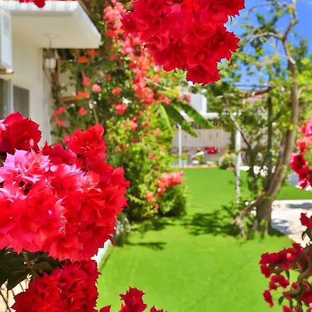 Bed & Breakfast Kiraz Butik