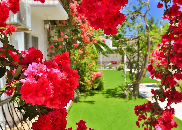 Bed & Breakfast Kiraz Butik