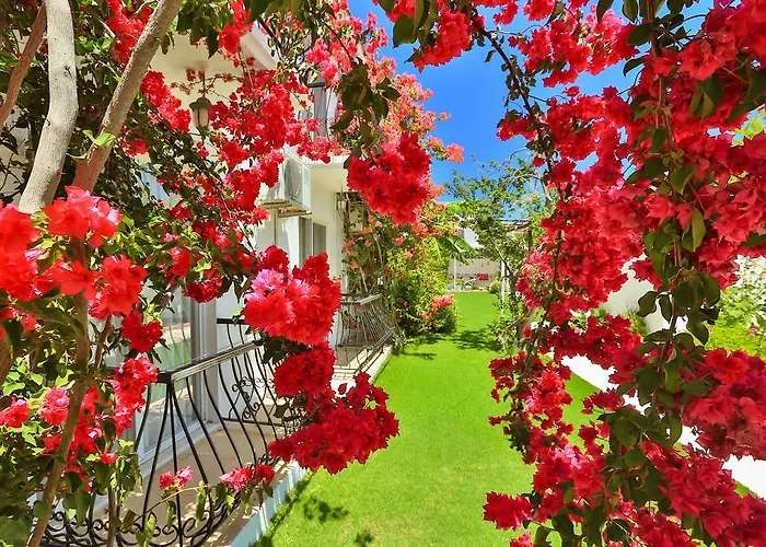 Nocleg ze śniadaniem Kiraz Butik 3*