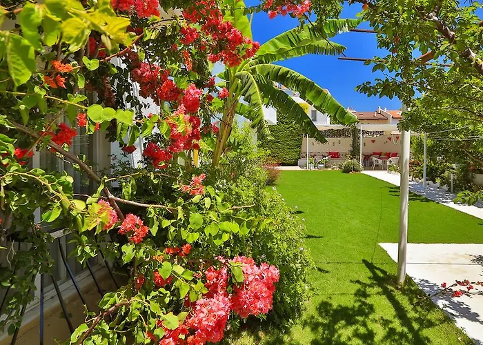 Nocleg ze śniadaniem Kiraz Butik 3*